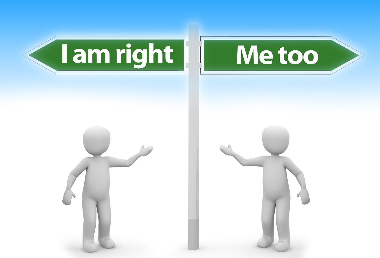 未来香菇行情展望,市场趋势与发展前景分析