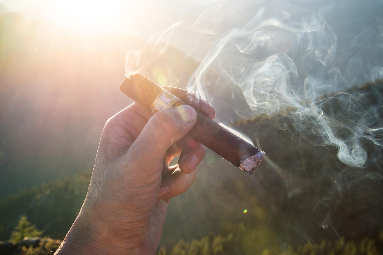 今日禁忌之恋电影，情感与禁忌的交织世界探索
